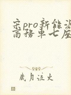 宋pro新能源商务车七座价格