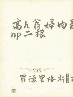 高h翁妇肉乱文np二根