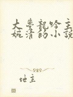 大梦龙吟主角林婉清的小说