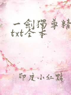 一剑独尊精校版txt全本