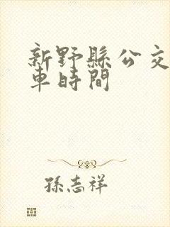 新野县公交车发车时间