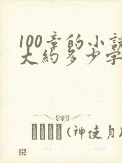 100章的小说大约多少字