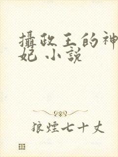 摄政王的神医狂妃 小说