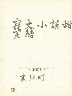 宠文小说甜宠文完结