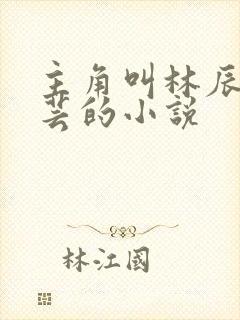 主角叫林辰薛灵芸的小说