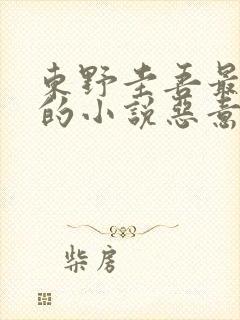 东野圭吾最好看的小说恶意 东野圭吾最好看的小说恶意