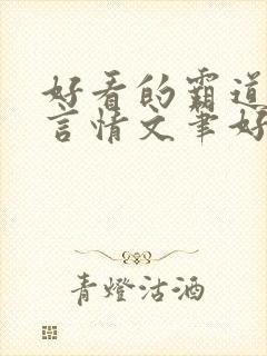 好看的霸道小说言情文笔好