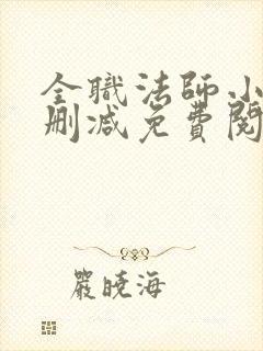 全职法师小说无删减免费阅读