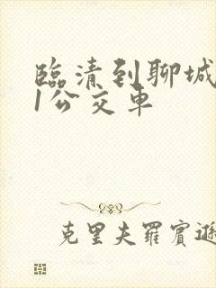 临清到聊城101公交车