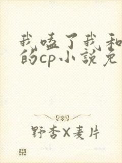 我嗑了我和对家的cp小说免费阅读