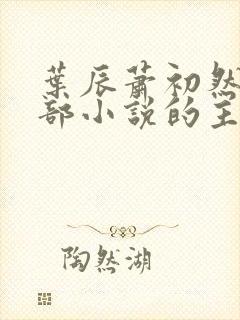 叶辰萧初然是哪部小说的主角