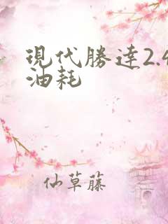 现代胜达2.4油耗 现代胜达2.4油耗