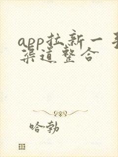 app拉新一手渠道整合