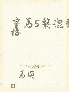 宝马5系混动价格