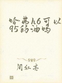哈弗h6可以加95的油吗