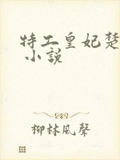 特工皇妃楚乔传 小说