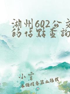 湖州602公交的站点查询