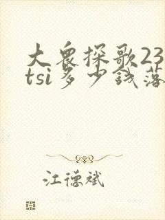 大众探歌230tsi多少钱落地