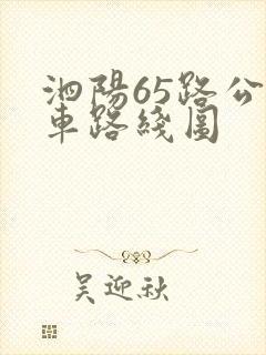 泗阳65路公交车路线图 泗阳65路公交车路线图