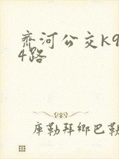 齐河公交k904路