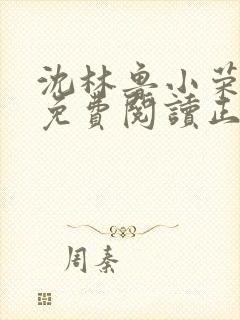 沈林鲁小荣小说免费阅读正版