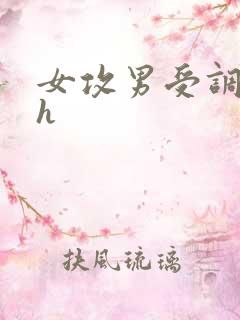 女攻男受调教高h