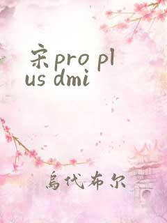 宋pro plus dmi