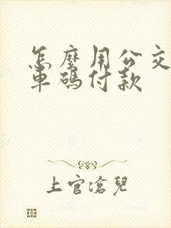 怎么用公交车乘车码付款