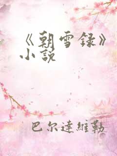 《朝雪录》原著小说