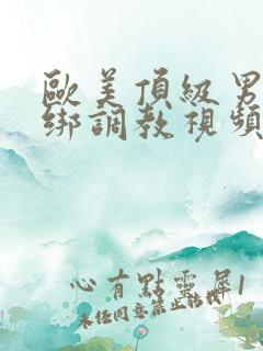 欧美顶级男同捆绑调教视频
