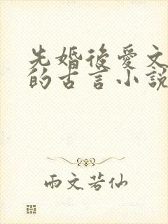 先婚后爱文笔好的古言小说