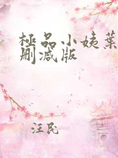 极品小姨叶凡无删减版