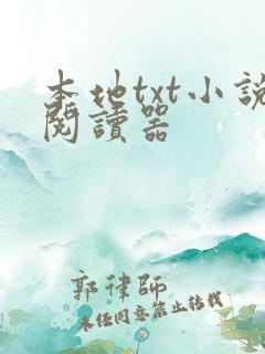 本地txt小说阅读器