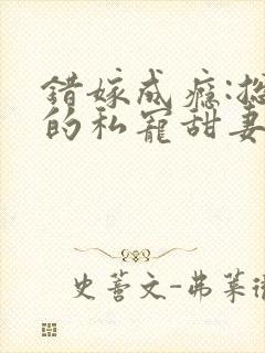 错嫁成瘾:总裁的私宠甜妻