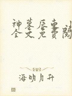 神墓辰东 小说全文免费阅读