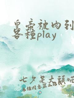 皇帝被肉到失禁各种play