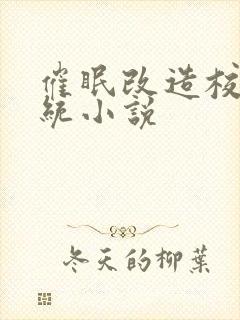 催眠改造校霸系统小说