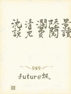 沈清澜陆景沉小说免费阅读最新章节更新