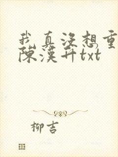 我真没想重生啊陈汉升txt