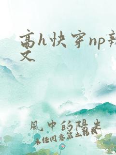 高h快穿np辣文
