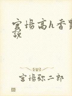官场高h香艳小说