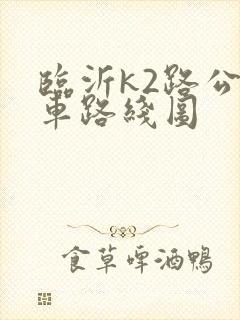 临沂k2路公交车路线图