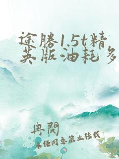 途胜1.5t精英版油耗多少 途胜1.5t精英版油耗多少