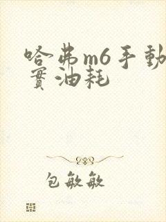 哈弗m6手动真实油耗