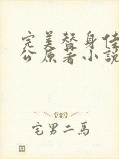 完美替身佳慧和公原著小说