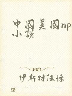 中国美国npc小说 中国美国npc小说