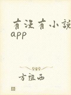 有没有小说阅读app