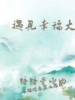 遇见幸福大结局