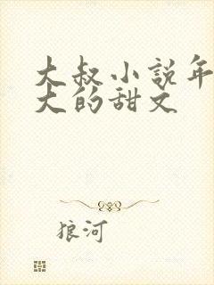 大叔小说年龄差大的甜文