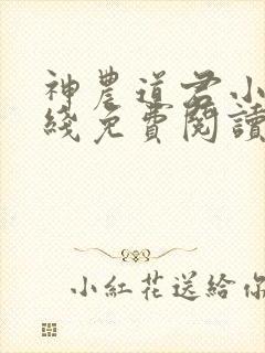 神农道君小说在线免费阅读